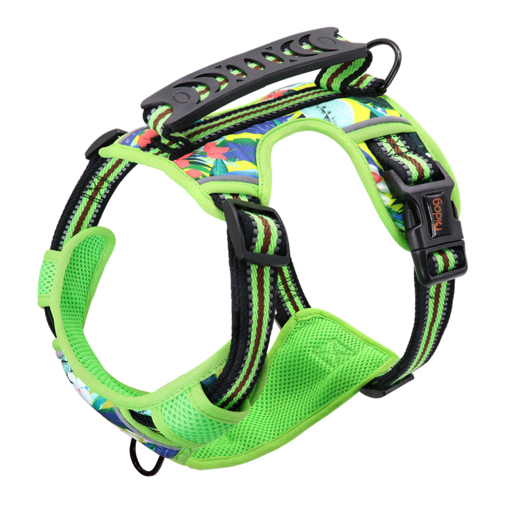Large Dog Pet Leash Chest Harness