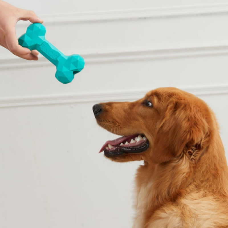 Pet Bite Resistant Rubber Bone Toy