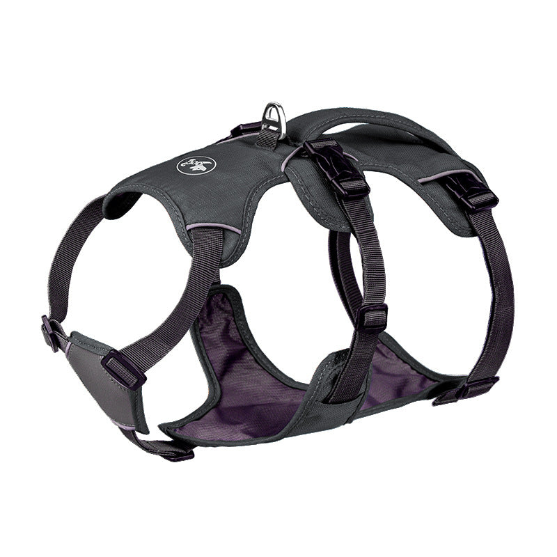 Anti Breaking Loose Dog Hand Holding Rope