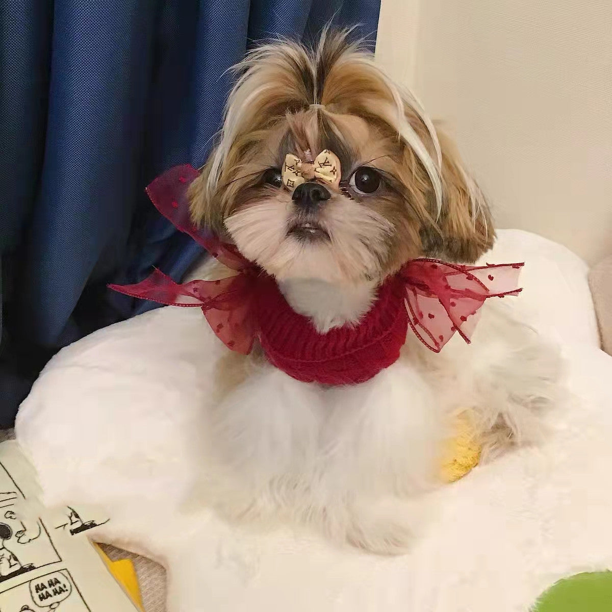 Pet Super Cute Sweater Warm