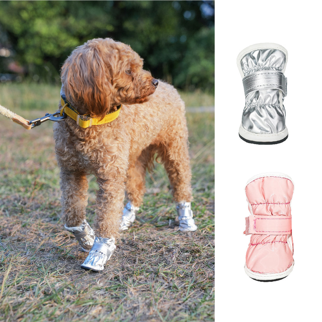 Winter Pet Dog Shoes Teddy