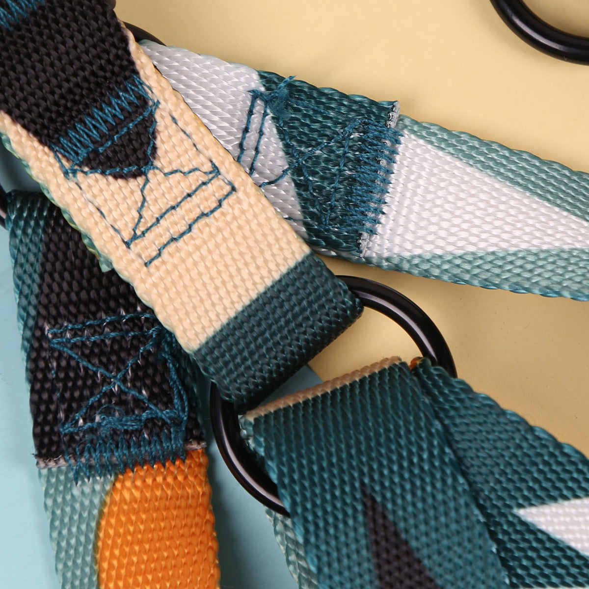 Hand Holding Rope Outing Dog Leash