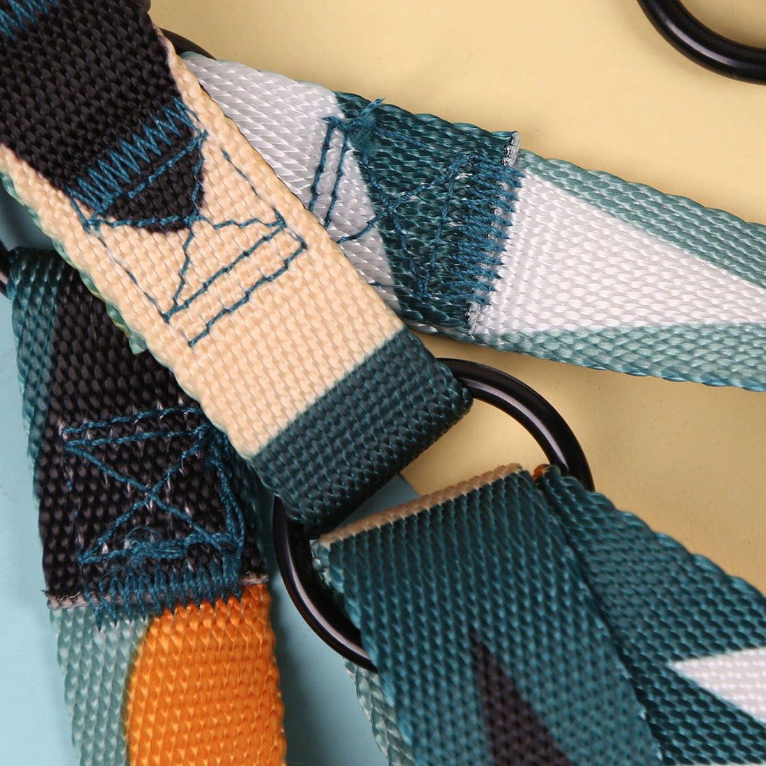 Hand Holding Rope Outing Dog Leash