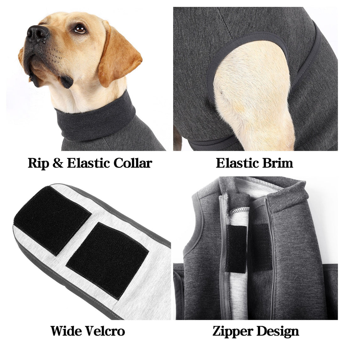 Pet Polyester Emotional Cotton Jacket