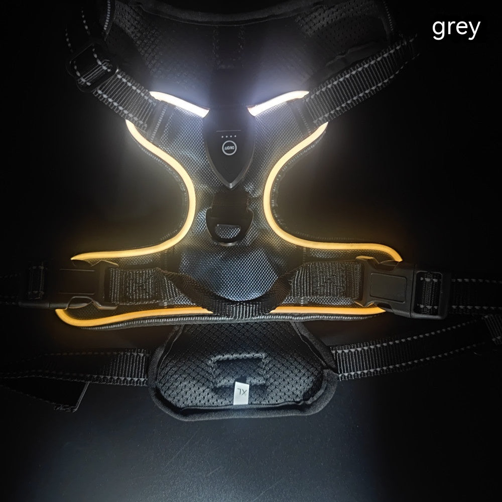 Accident Prevention Adjustable Flash Dogs