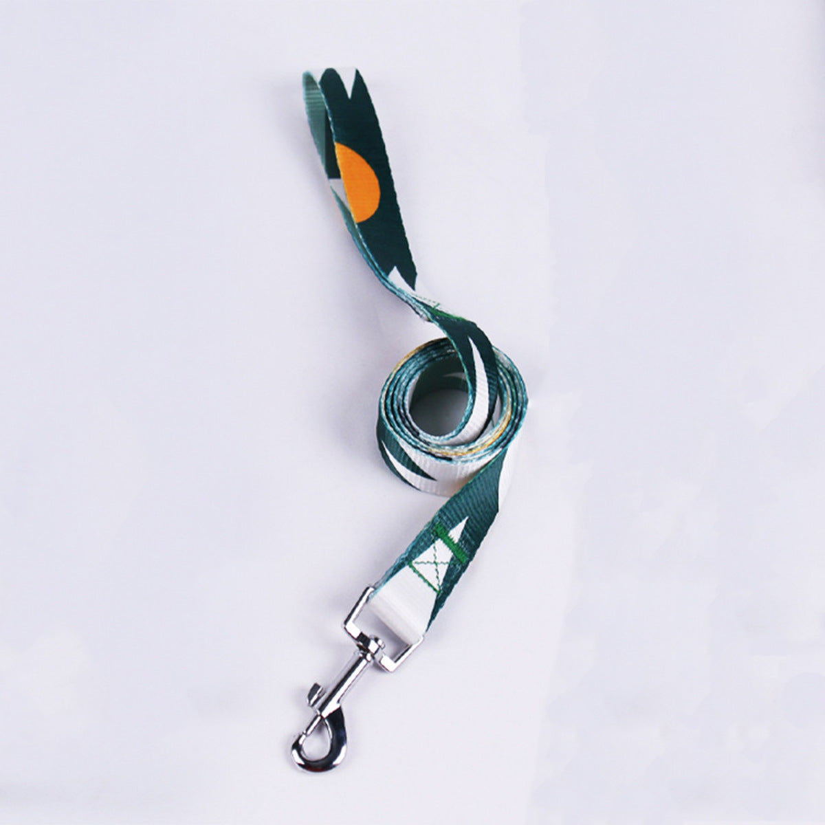 Hand Holding Rope Outing Dog Leash