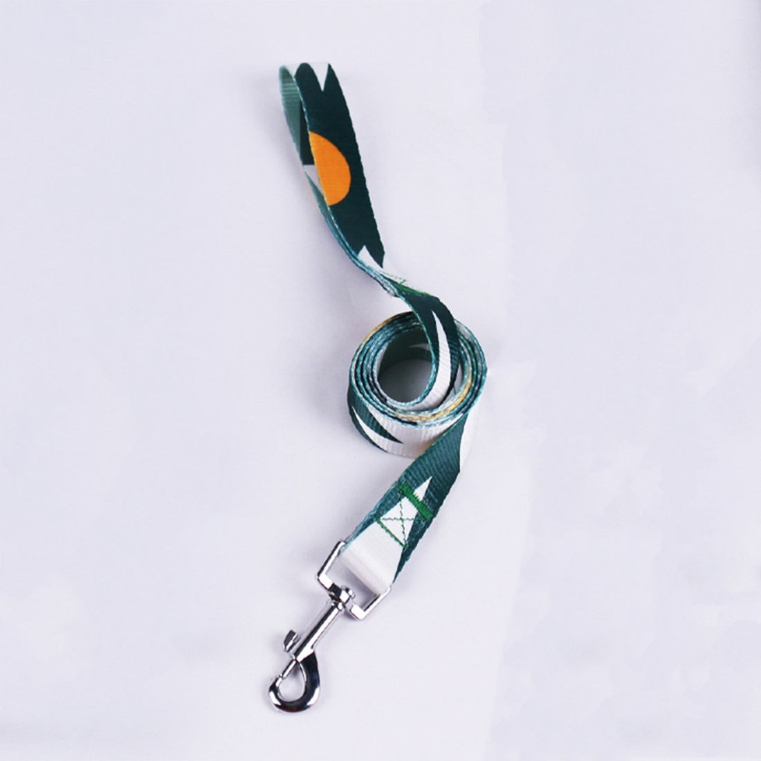 Hand Holding Rope Outing Dog Leash