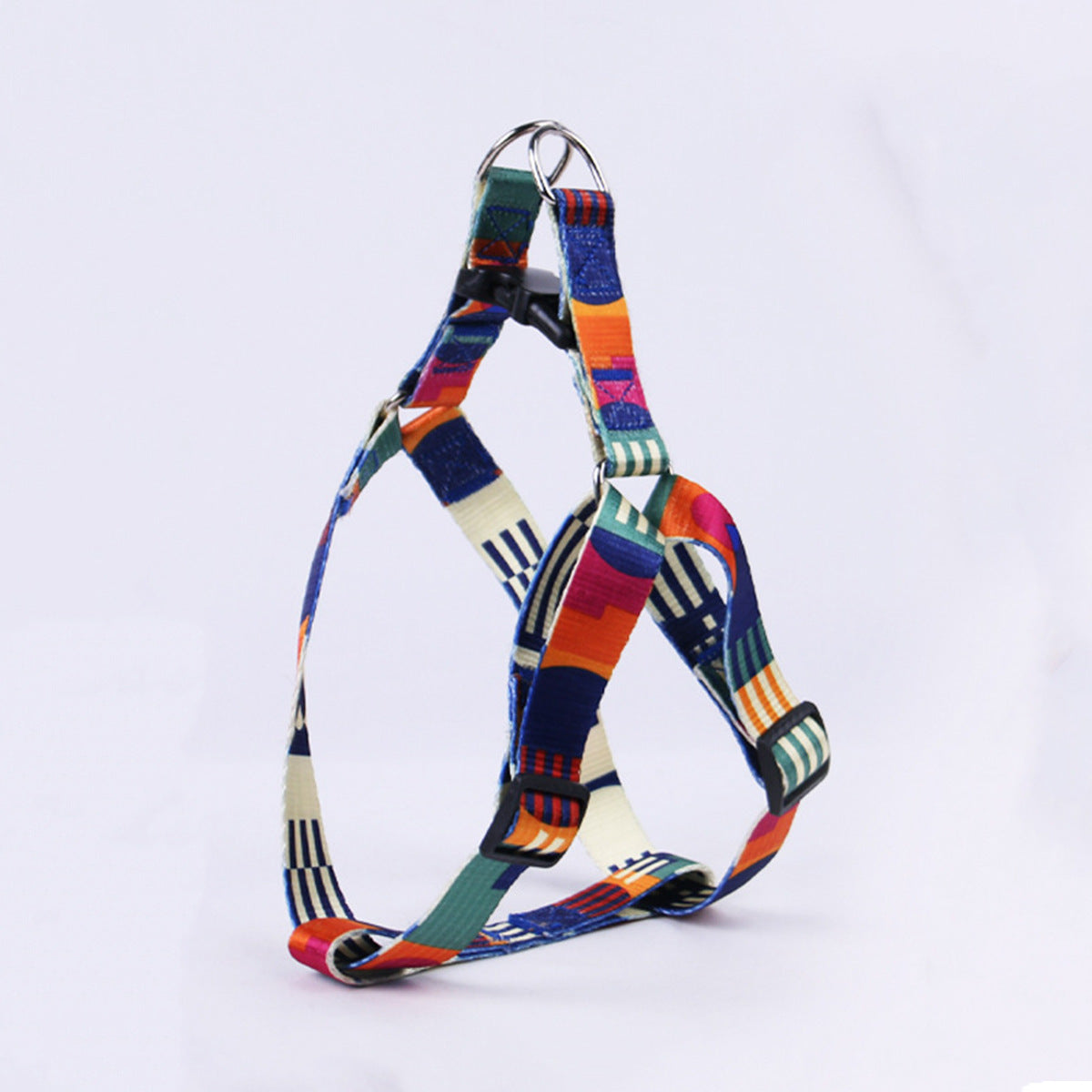 Hand Holding Rope Outing Dog Leash